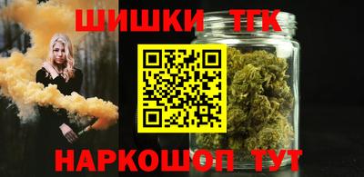 индика Дубна